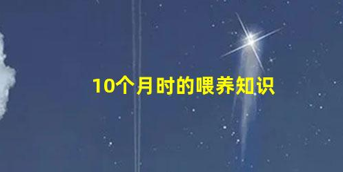 10個月時的喂養(yǎng)知識(10個月怎么喂養(yǎng)比較好)