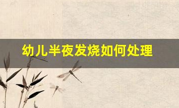 寶寶發(fā)燒夜間如何護(hù)理(幼兒半夜發(fā)燒如何處理)
