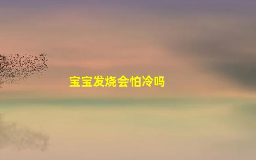 寶寶發(fā)燒會怕冷嗎(兒童發(fā)燒畏寒是什么原因)