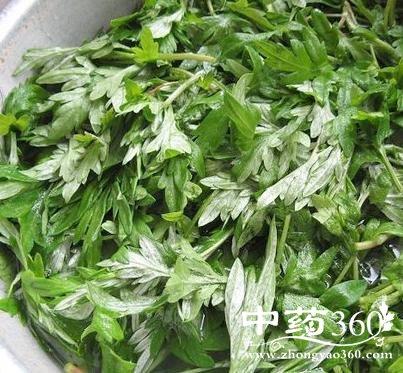 用艾草泡腳有助于睡眠么