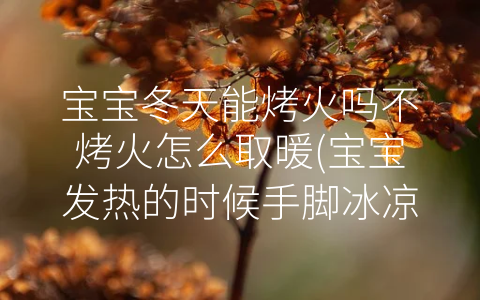 寶寶冬天能烤火嗎不烤火怎么取暖(寶寶發(fā)熱的時(shí)候手腳冰涼需要保暖嗎)