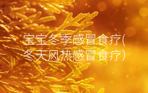 寶寶冬季感冒食療(冬天風(fēng)熱感冒食療)