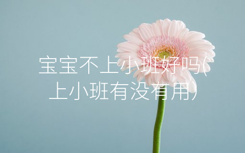 寶寶不上小班好嗎(上小班有沒(méi)有用)