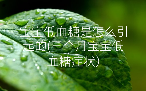 寶寶低血糖是怎么引起的(三個(gè)月寶寶低血糖癥狀)