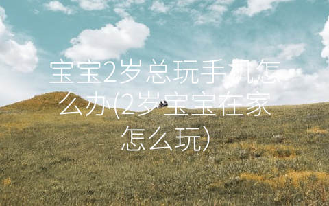 寶寶2歲總玩手機(jī)怎么辦(2歲寶寶在家怎么玩)