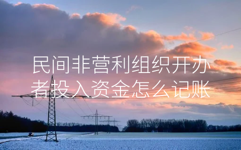 民間非營利組織開辦者投入資金怎么記賬