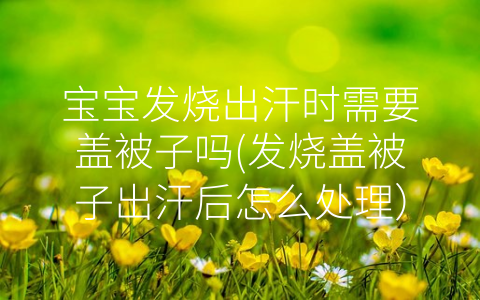 寶寶發(fā)燒出汗時(shí)需要蓋被子嗎(發(fā)燒蓋被子出汗后怎么處理)