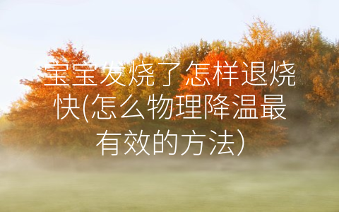 寶寶發(fā)燒了怎樣退燒快(怎么物理降溫最有效的方法)