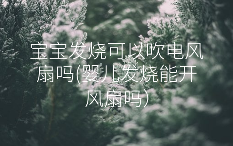 寶寶發(fā)燒可以吹電風(fēng)扇嗎(嬰兒發(fā)燒能開風(fēng)扇嗎)