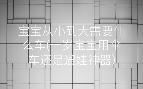 寶寶從小到大需要什么車(chē)(一歲寶寶用傘車(chē)還是遛娃神器)