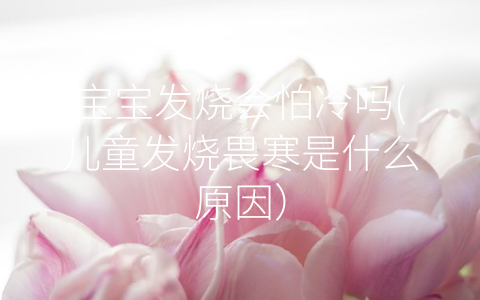 寶寶發(fā)燒會怕冷嗎(兒童發(fā)燒畏寒是什么原因)