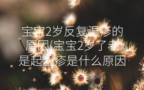 寶寶2歲反復(fù)濕疹的原因(寶寶2歲了老是起濕疹是什么原因)