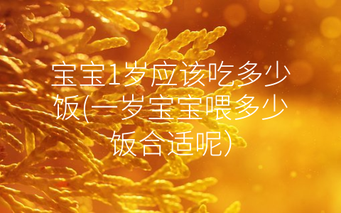 寶寶1歲應(yīng)該吃多少飯(一歲寶寶喂多少飯合適呢)